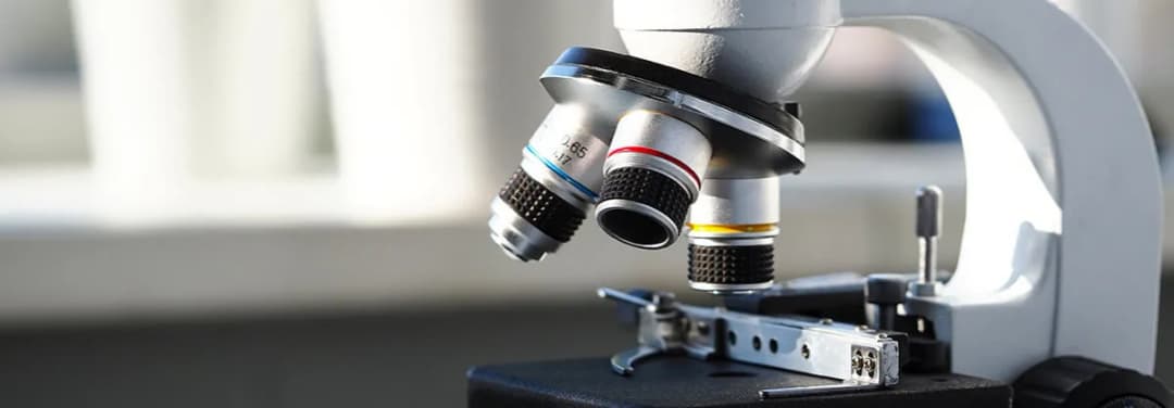 Obiektyw w mikroskopie - klucz do zrozumienia jego funkcji i zastosowania