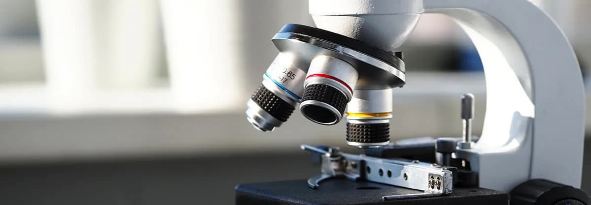 Obiektyw w mikroskopie - klucz do zrozumienia jego funkcji i zastosowania