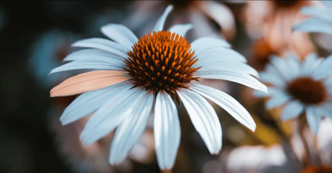 Jak zmienić kolor obiektu w Photoshopie - proste metody i triki