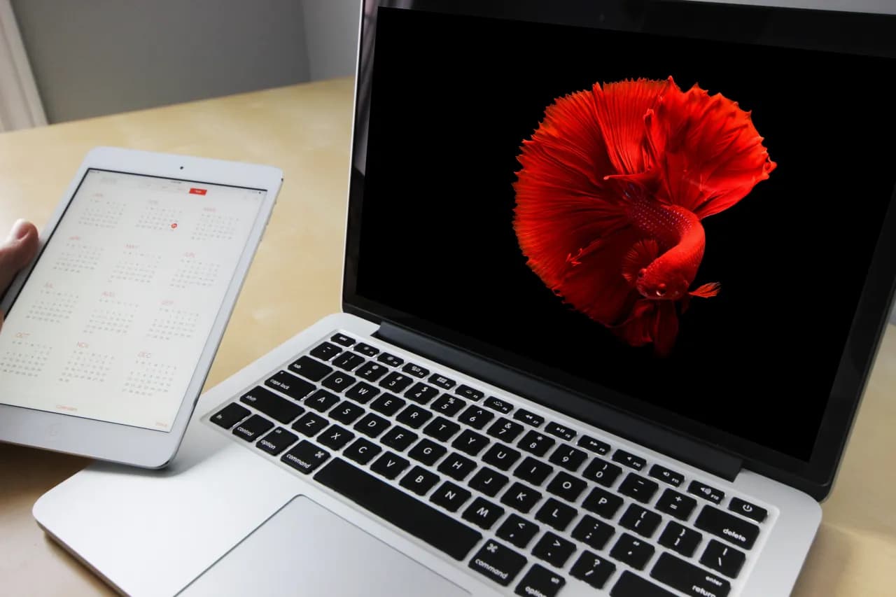 Jaki laptop do Photoshopa – wybierz idealny sprzęt do edycji zdjęć